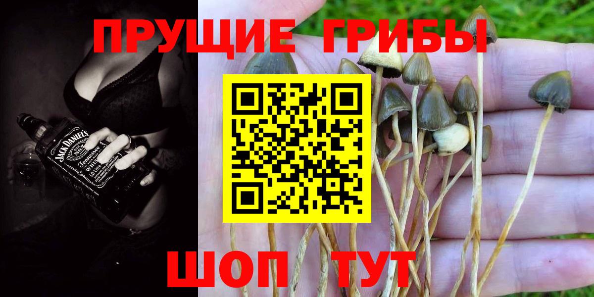 Галлюциногенные грибы прущие грибы  Галлюциногенные грибы GOLDEN TEACHER  Бугульма  Вход с VPN 